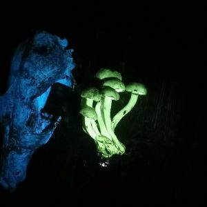 458140578_399712256478047_5735667860537122635_n
