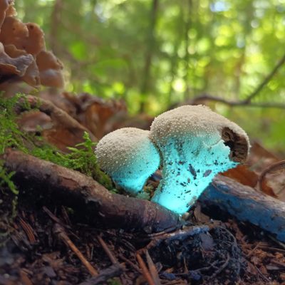 469396055_468297242952881_1813568311966708923_n