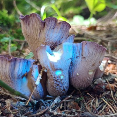 469678752_469064116209527_3980744615062754802_n