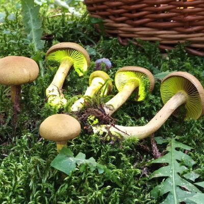 469906493_470478216068117_8888875695669379965_n