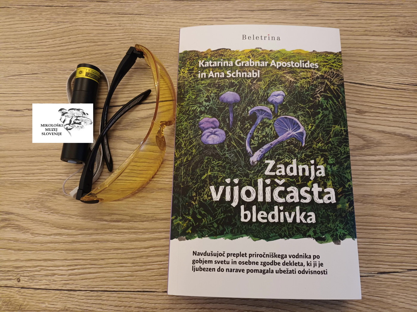 UV-oprema-MMS_01 Set - zaščitna očala, UV lučka in knjiga - slika 1