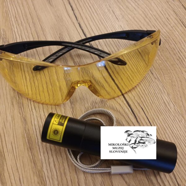 Set - zaščitna očala in UV lučka