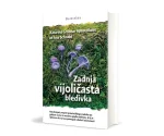 Zadnja vijoličasta bledivka - slika 2