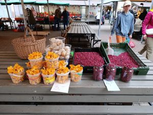 IMG-20260109-WA0065