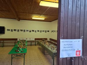 IMG-20260117-WA0003