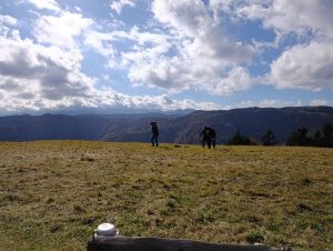 IMG-20260117-WA0050