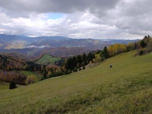 IMG-20260117-WA0057