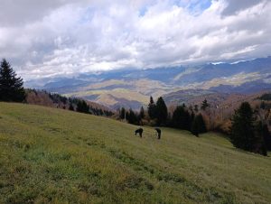 IMG-20260117-WA0058