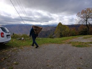 IMG-20260117-WA0065