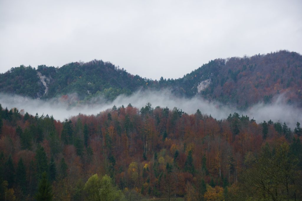DSC_7110