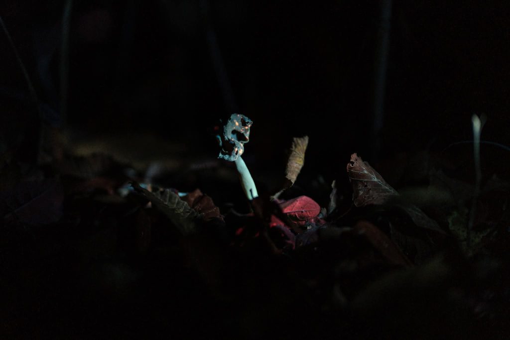 IMG-20260321-WA0006