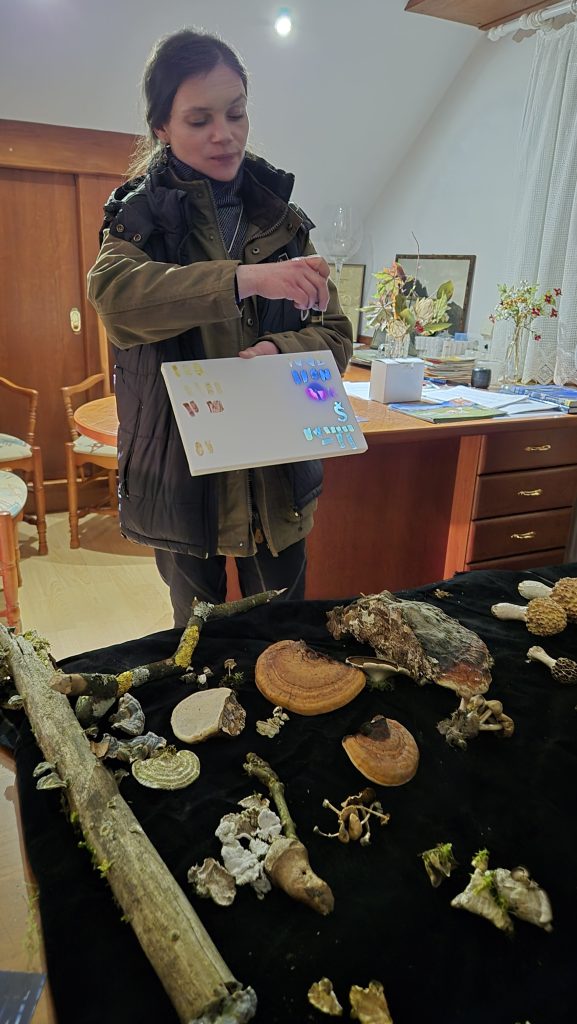 Avtor fotografije: Gašper Golmajer