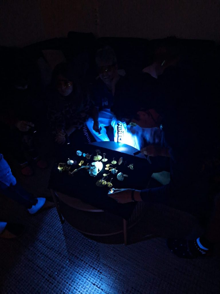 IMG-20260505-WA0004