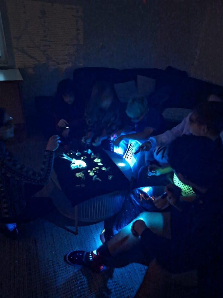 IMG-20260505-WA0005