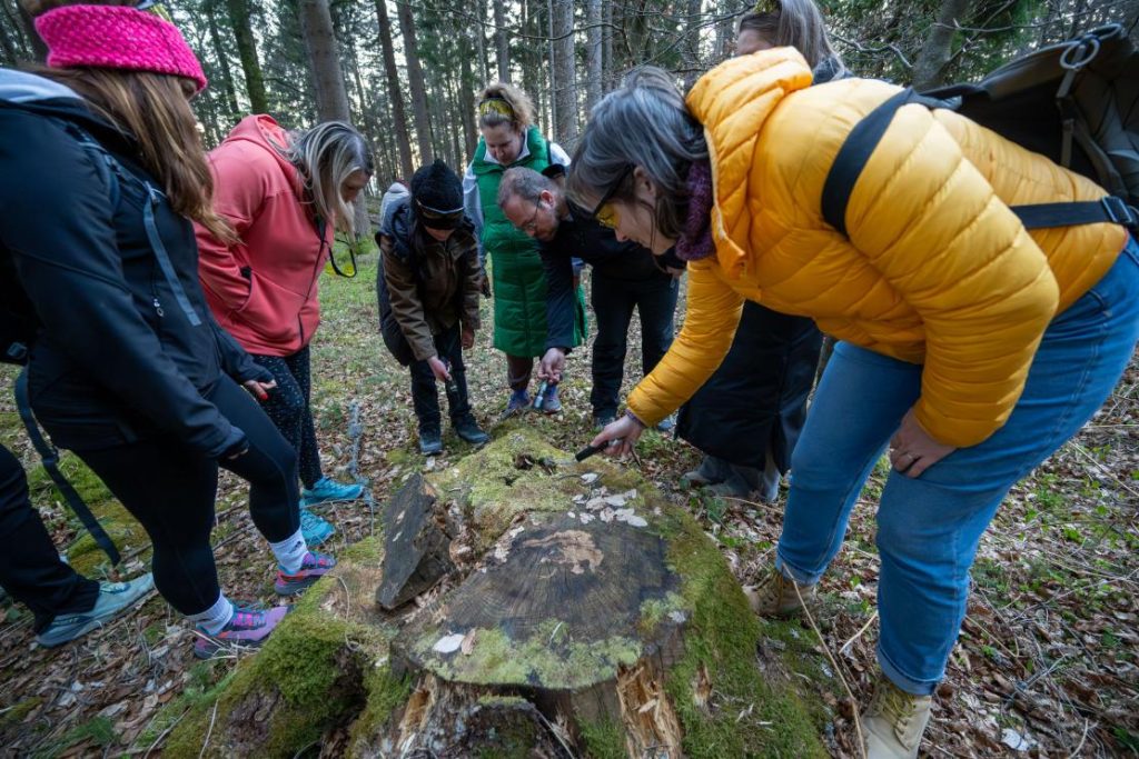 Avtor fotografije: Primož Pičulin