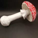 Amanita muscaria, rdeča mušnica