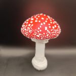Amanita muscaria, rdeča mušnica - slika 2