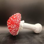 Amanita muscaria, rdeča mušnica - slika 5